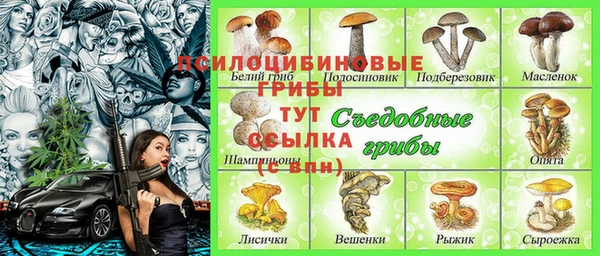герыч Бронницы