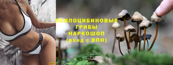 MDMA Бородино
