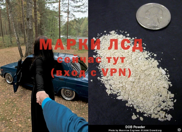 индика Верея