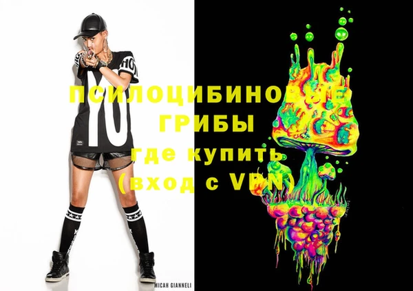 герыч Бронницы