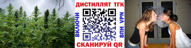 ТГК Wax  Прокопьевск 