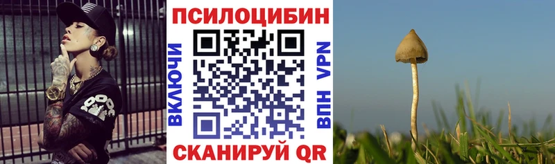 Псилоцибиновые грибы GOLDEN TEACHER  купить наркоту  Прокопьевск 