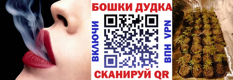 Шишки марихуана гибрид  купить наркотик  нарко площадка какой сайт  Прокопьевск 